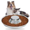Puppy Feeder Bowl, Stainless Steel Dog Bowls for Puppy, Food Feeding Weaning Bowl for Small Medium Large Dogs (Large Size, 13.4 Inch)